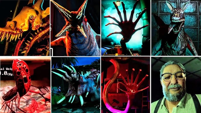 Zoochosis